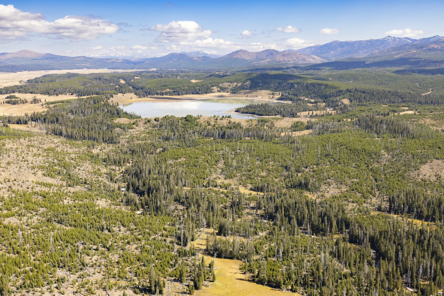 Former Park Superintendents Urge Shutdown of National Parks During Government Closure