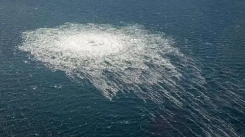 Allegations of Mistreatment: Ukrainian Hunger Striker Claims Italian Authorities Pressured Him on Nord Stream Blast