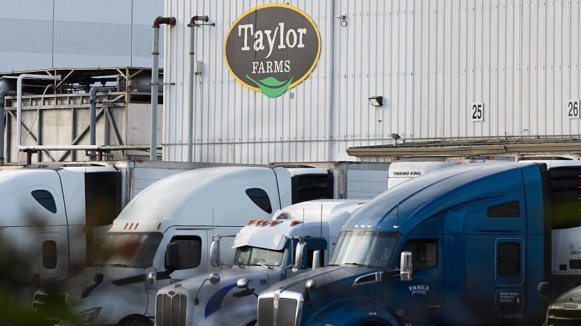 Cyclospora False‑Positive Confuses US Lettuce Outbreak Investigation