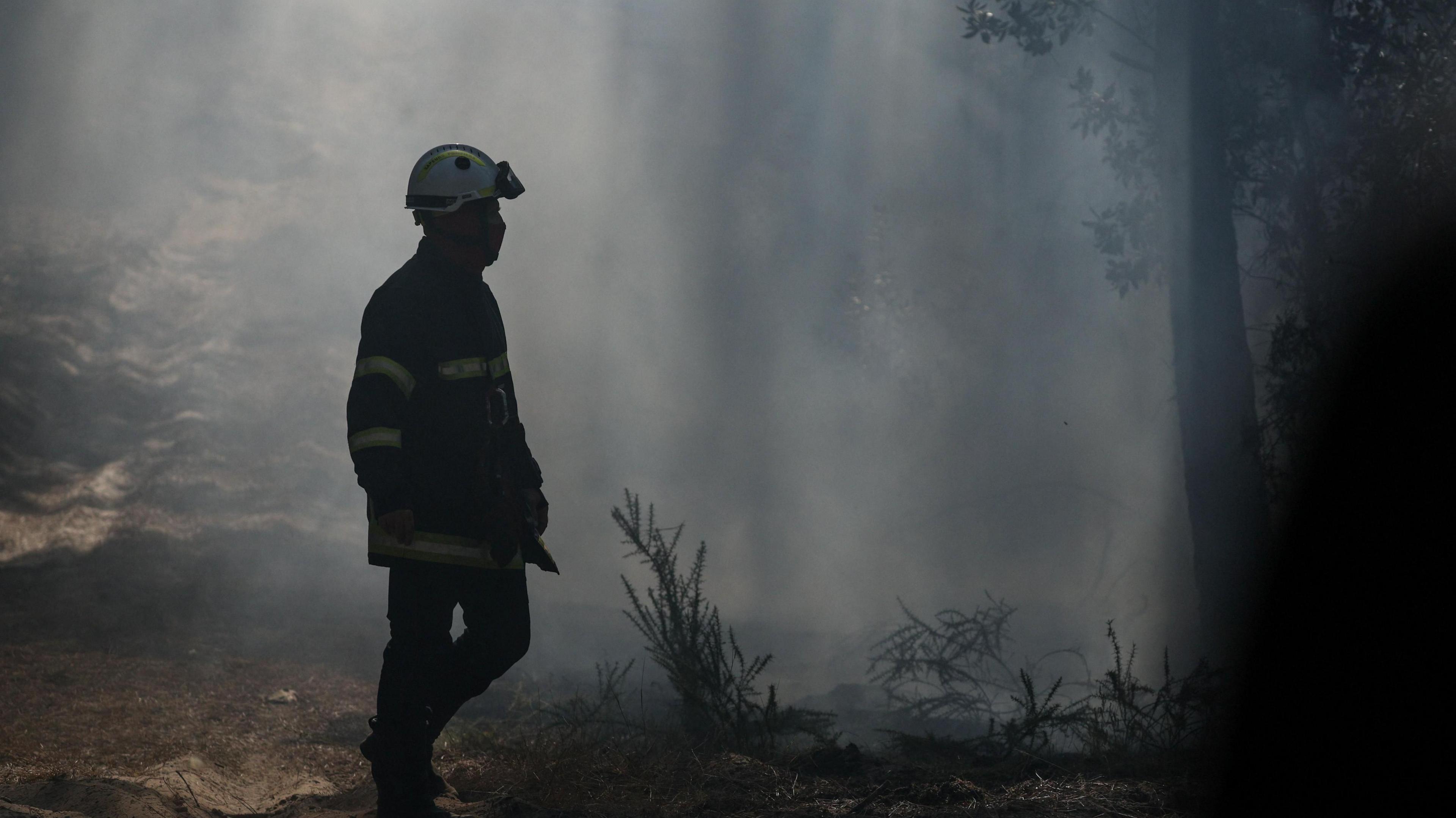 Gironde Wildfires Intensify as 40°C Heatwave Looms