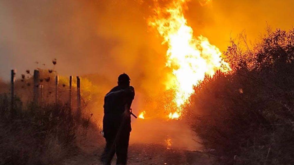 Algeria’s President Calls for Death Penalty After Deadly Forest Fires