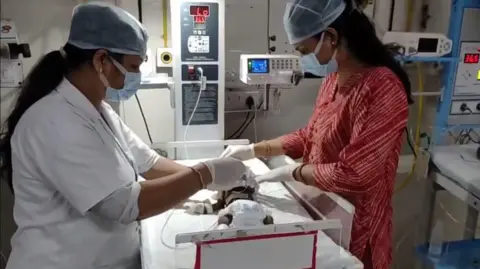 Desperate Fight for Survival: Baby Girl Found Buried in India