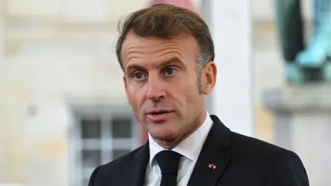 Calls for Early Presidential Elections as France Faces Political Crisis