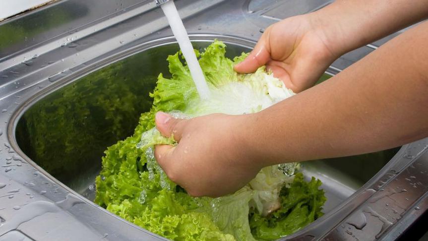 First U.S. Deaths Confirmed in Cyclospora Outbreak Linked to Contaminated Lettuce