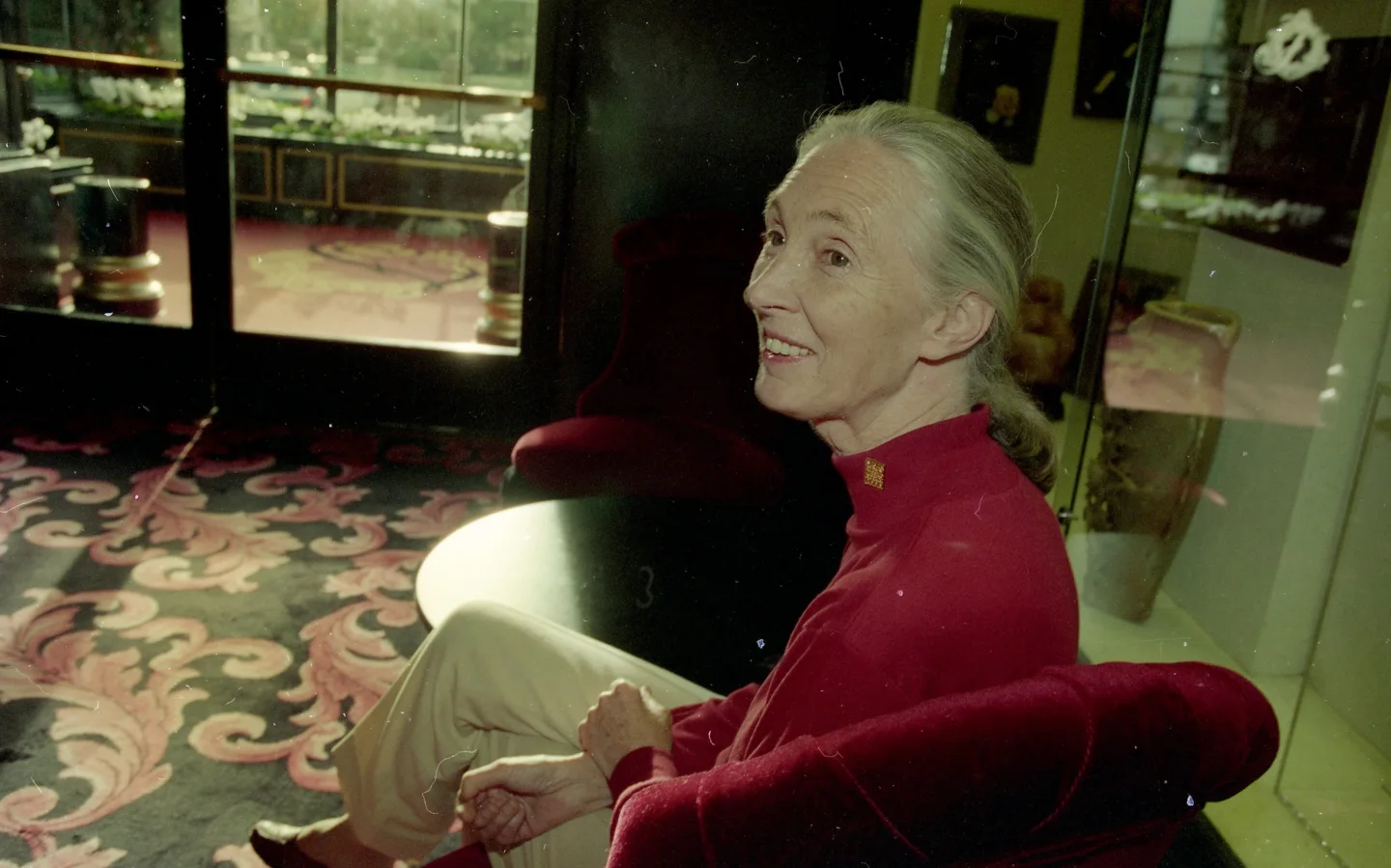Tributes Pour In for Pioneering Primatologist Jane Goodall