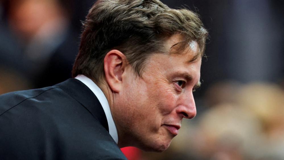 Elon Musk Fuels Far‑Right Surge After Promoting Uwe Boll’s "Citizen Vigilante"