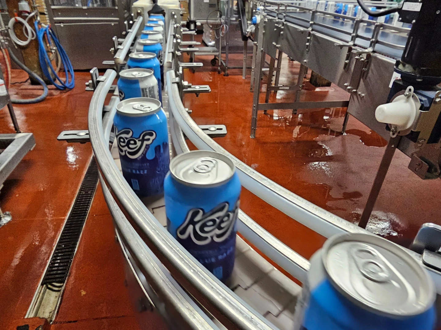 Impending Ban on THC Products Threatens $24 Billion Hemp Industry