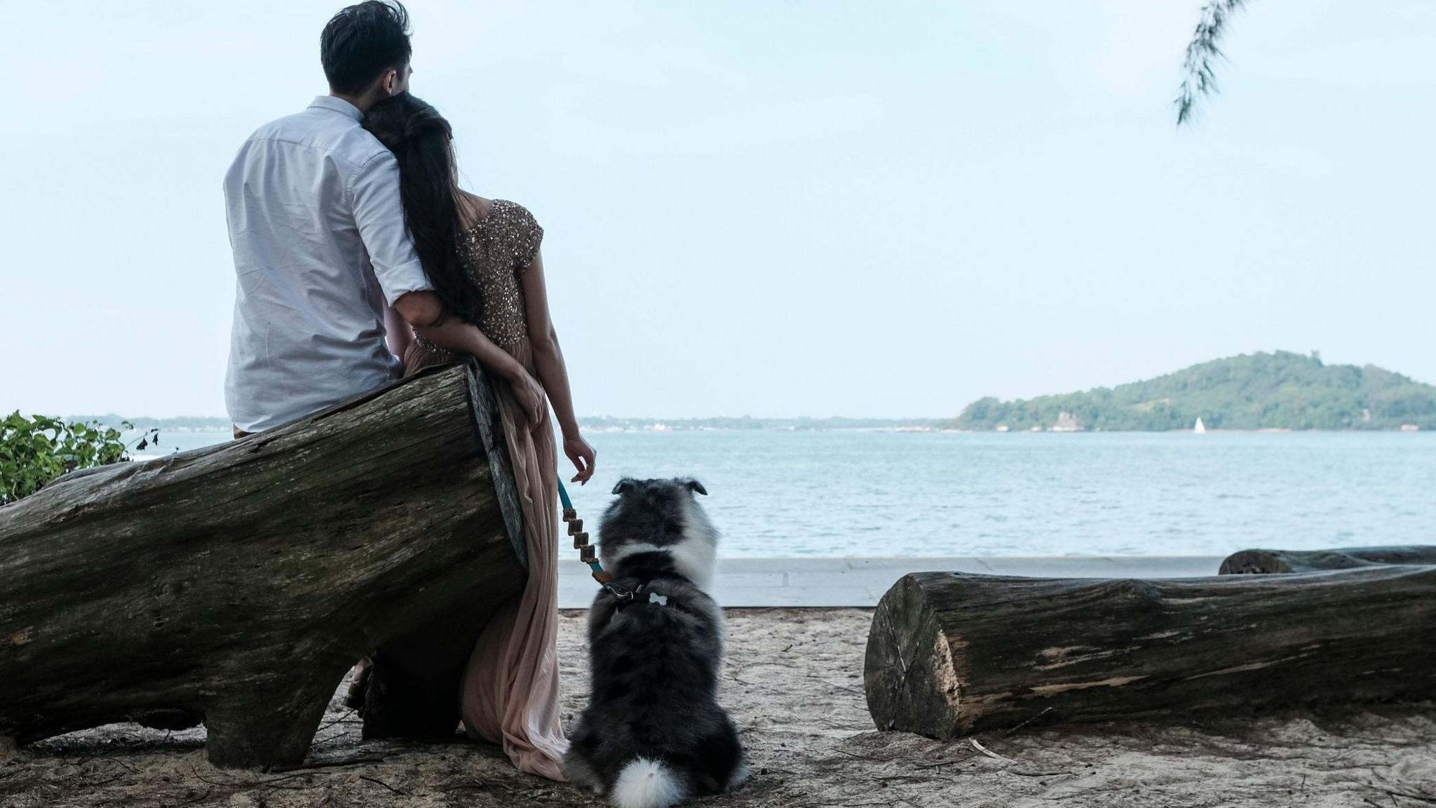 Singapore Launches Government‑Run Matchmaking Service to Boost Birthrate