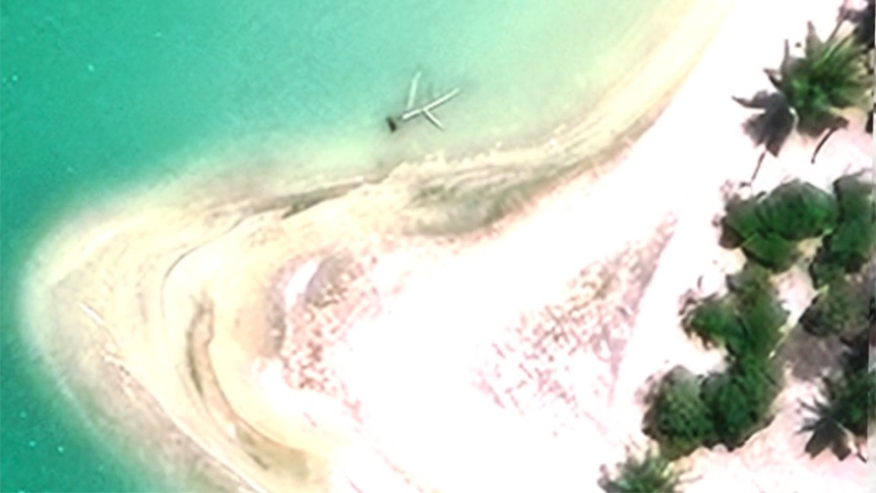Tree Time: Researchers Exclude Amelia Earhart’s Plane From Nikumaroro Island