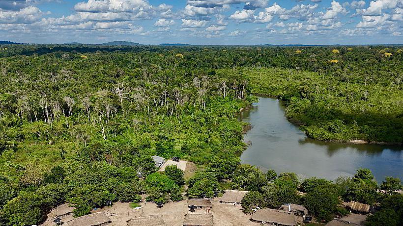Amazon Deforestation Bounces Back: 2025 Fires Drop to Lowest Since 1985