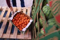 November SNAP Benefits Set to Decrease Amid Political Turmoil