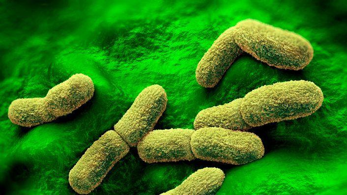 US Watching Closely After Russian Plague Researcher Dies
