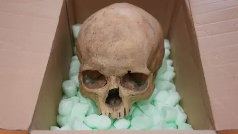 Tourist Returns Stolen Skull to Vienna's St Stephen's Cathedral After 60 Years