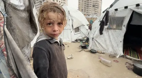 Urgent Appeal for Shelter as Winter Looms over Gaza