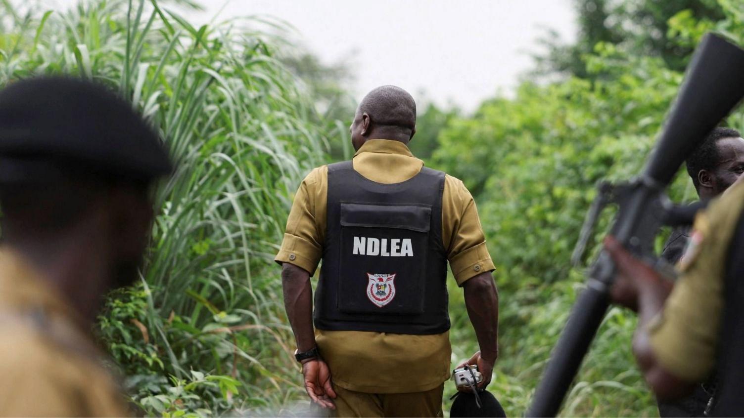 Mexican Drug Cartels Outsource Meth Labs to Nigeria’s Forests