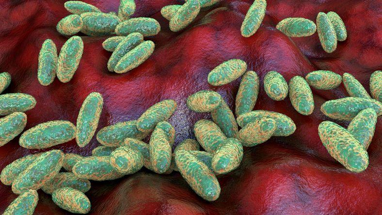 WHO Seeks Answers Over Russian Lab Worker’s Death: Unpacking the Threat of Pneumonic Plague