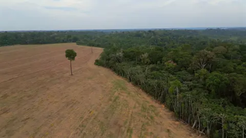 Threat to Brazil's Amazon: A Push to Lift Soya Ban Raises Environmental Concerns