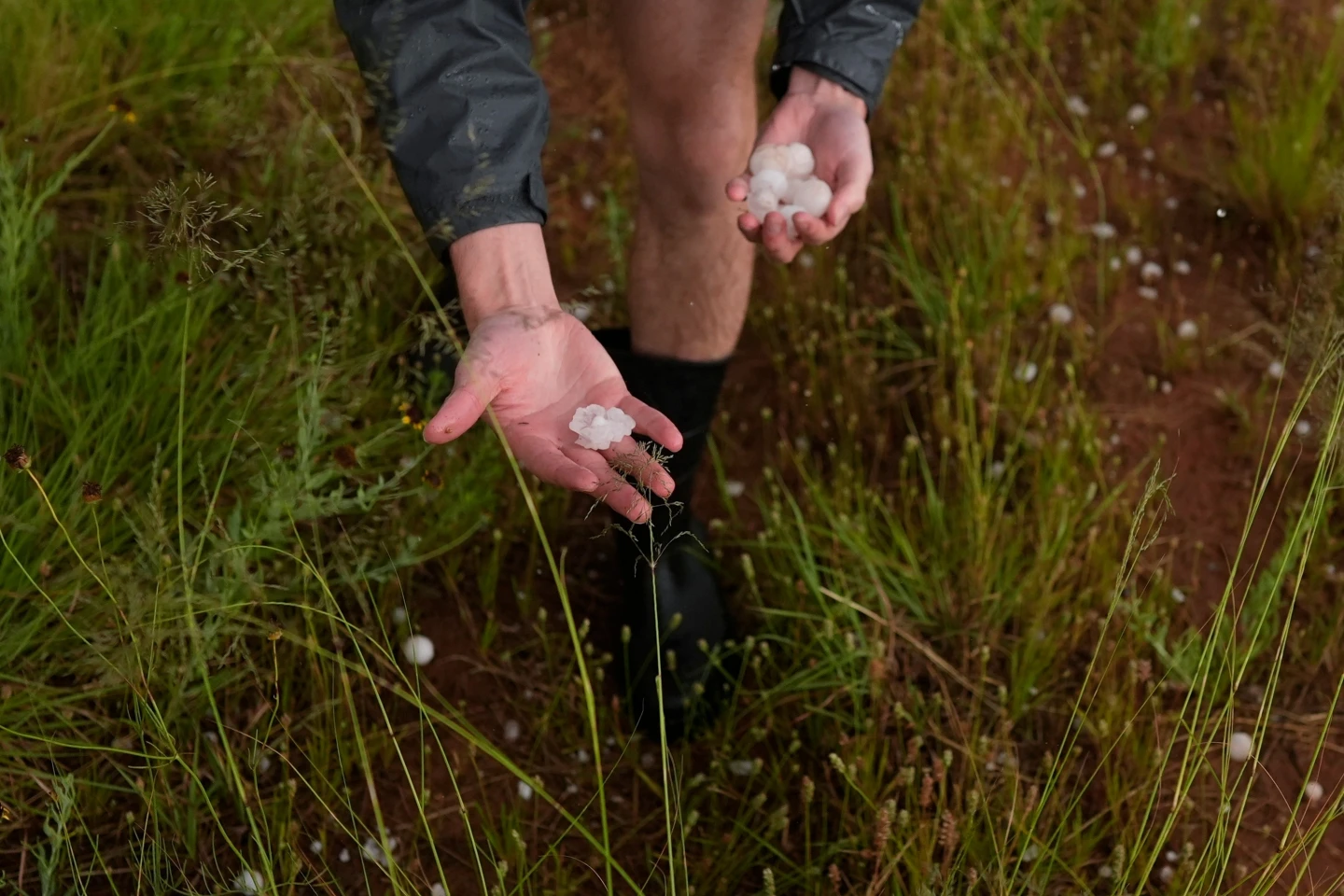 Warmer Temperatures Mean Bigger, More Dangerous Hail Storms","description":"A new study predicts a 38‑47% rise in large hailstones by 2100, driven by higher moisture and stronger updrafts in a warmer climate.","summary":"Scientists warn that climate change is making hail storms more violent, with larger hailstones expected to increase dramatically worldwide by the end of the century. The study, published in Nature, used advanced 3‑D modeling to show how higher temperatures and moisture content boost updraft strength, allowing hail to grow larger before falling. While smaller hailstones may melt in some regions, the risk for major damage in the U.S., Canada, Europe, and Argentina is set to rise. Building resilience and updating design standards will be essential as the frequency of these powerful storms climbs.","image":"https://dims.apnews.com/dims4/default/0c76d15/2147483647/strip/true/crop/3980x2653+0+0/resize/1440x960!/format/webp/quality/90/","text":"WASHINGTON — A warmer world will likely mean bigger, more damaging hail, scientists say. The new study, published Wednesday in the journal Nature, shows that the hotter, more humid atmosphere produced by burning fossil fuels is fueling stronger updrafts inside storms, which in turn helps hailstones grow larger before they fall to the ground. Researchers estimate that hailstones bigger than a marble‑sized ball will increase by between 38% and 47% by the end of the century, depending on how much carbon the planet emits. In contrast, the frequency of smaller hail will decline slightly.\n\nAlthough hail rarely kills people, it can do a great deal of economic damage. The United States alone loses roughly $10 billion each year to hail, with the global cost reaching around $80 billion, according to study co‑author John Allen, a meteorology professor at Central Michigan University. “Hail is more expensive than many hurricanes now,” Allen told reporters in Guymon, Oklahoma, as he led a team of ‘storm chasers’ toward the path of a developing tempest, hoping to see how high‑energy clouds form the massive ice balls.\n\nThe research highlights how a 1‑degree‑Celsius (1.8‑degree‑Fahrenheit) temperature rise adds roughly 7% more water vapor to the atmosphere, fuelling stronger updrafts. This enhanced moisture space is the energy that makes hail grow larger before gravity can pull it down. In warmer air, hailstones that would otherwise cool and melt tend instead to stay solid, allowing them to finish their descent at a greater mass.\n\nIn the past, most hail studies focused on the United States—the country with the most hail data—and mainly counted how often hail occurred rather than how big the hailstones were. The new study used 3‑D weather simulations carried out in collaboration with Chinese researchers, and the approach included a full hail‑formation model that more accurately represents the process than earlier work. Other earlier studies examined small hail increases in frequency, but the present research looks at the intensity of large hail.\n\nThe projected hail growth is not evenly distributed. Zones in the U.S. Northern Plains, Canada, Europe, Argentina and similarly exposed areas are expected to see the strongest gains in large hail. In tropical regions, however, increased temperatures will reduce the size of hailstones because they melt before they hit the ground.\n\nCo‑author Allen said the global head‑count of hail damage is “spiking in recent years.” He added, “Climate change may increase the potential for large, more damaging hail in some areas, but the future loss picture will also depend heavily on where people build, what structures they use and how resilient those buildings are.”\n\nIn sum, warming temperatures are turning storms into efficient generators of larger ice balls that can explode roofs, blow off solar panels, and wreck vehicle fleets. The upcoming decade will see a visible uptick in the frequency of especially dangerous hailstorms, underscoring the urgency for better building standards and risk management in vulnerable regions.