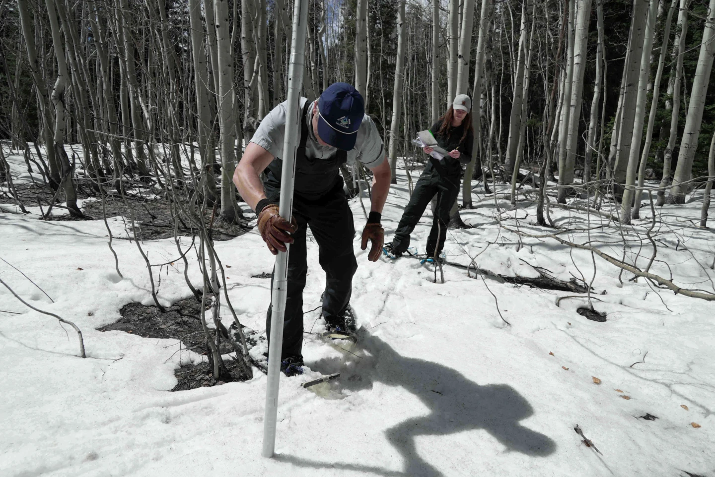 Colorado Faces Record-Breaking Drought: Snowpack at Historic Lows