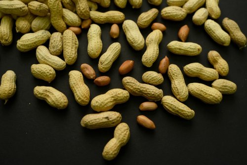 Groundbreaking Research Shows 60,000 Kids Avoid Peanut Allergies Thanks to Dietary Shift