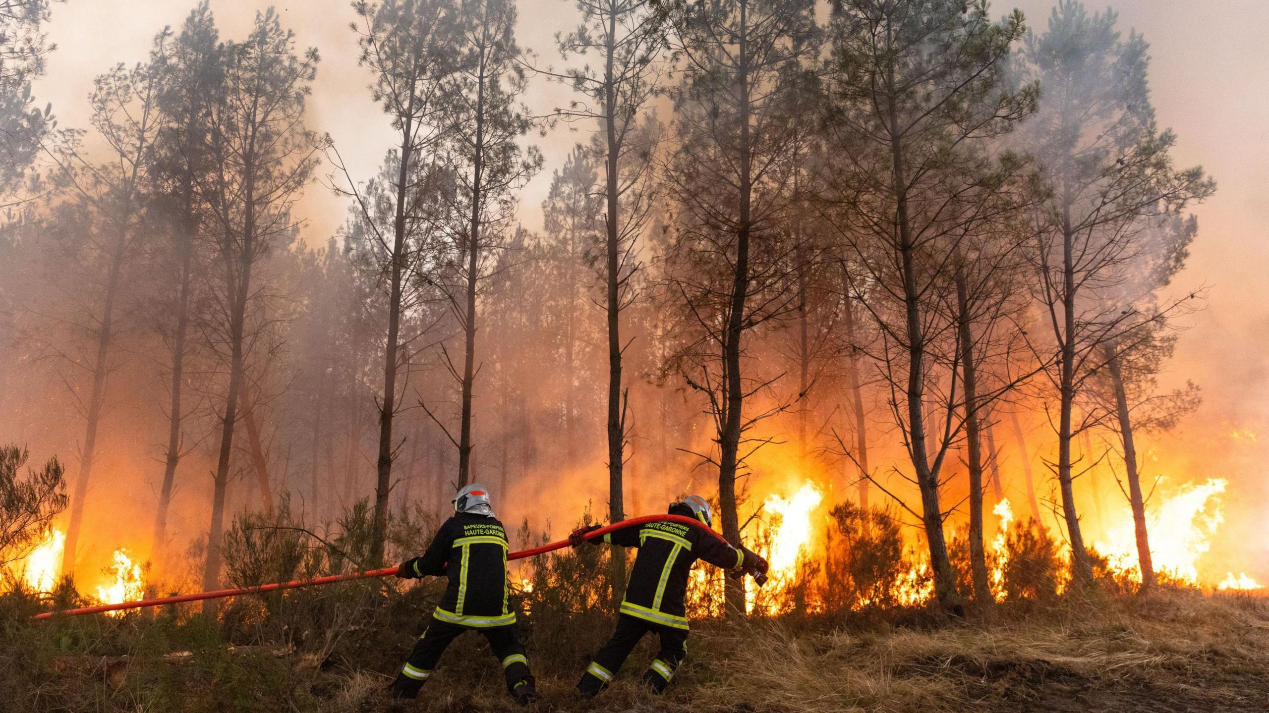 Wall of Flames: Residents in France and Spain Face Wildfire Crisis