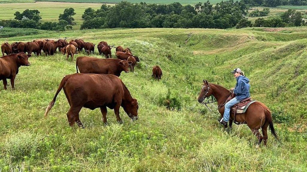 Rancher Yvette Mannon