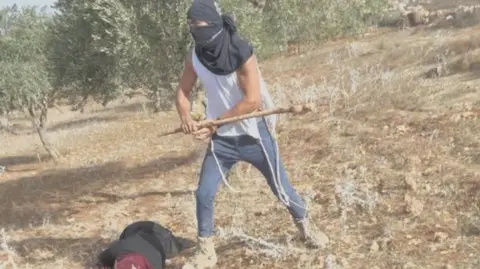 Israeli Settler Assaults Palestinian Woman During Olive Harvest