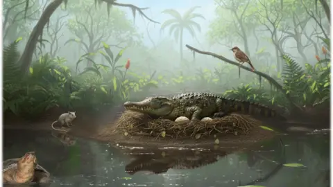 Discovery of Ancient Tree-Climbing 'Drop Crocs' Eggs in Australia