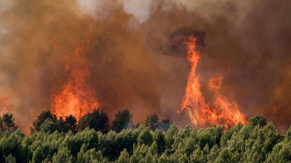 Wildfire in southern France