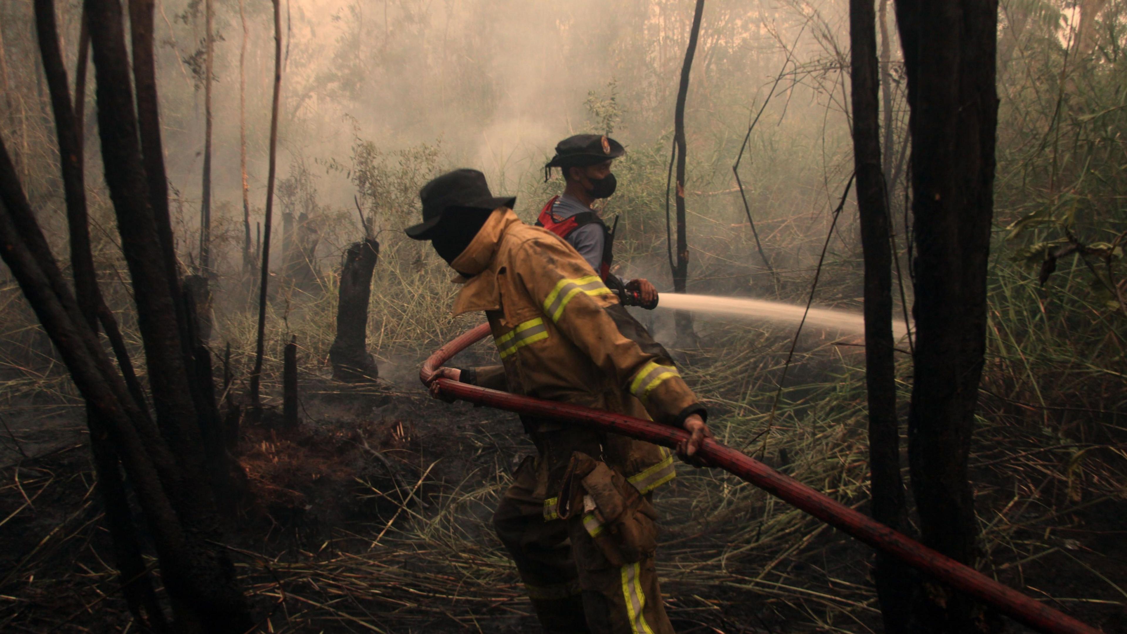 Unprecedented El Niño Already Record‑Breaking – Scientists Warn of Global Weather Chaos