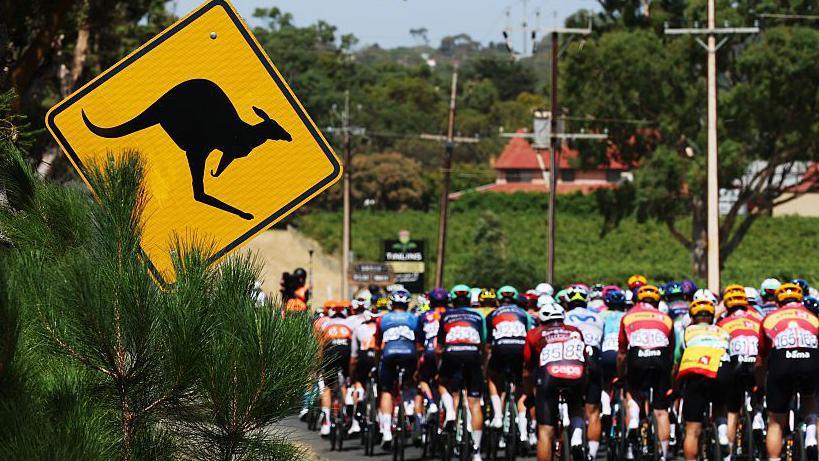 Jay Vine Triumphs at Tour Down Under Amidst Kangaroo Chaos
