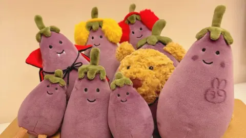 The Rise of Jellycat: How a UK Plush Toy Captured the Hearts of Young Chinese Consumers