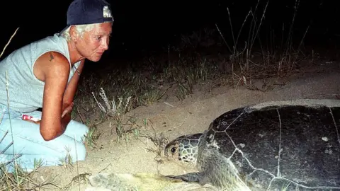 Lebanese Turtle Conservationist Mona Khalil Killed in Israeli Strike