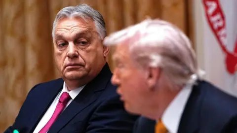 Hungary's Orban Returns with Mixed Results from Washington