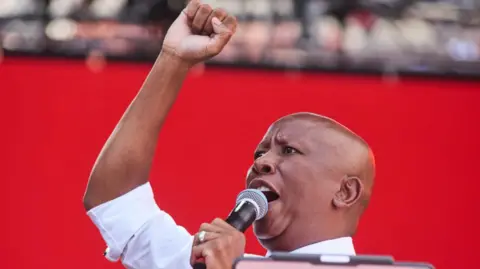 Julius Malema Faces Conviction for Gun Offenses Amidst Controversy