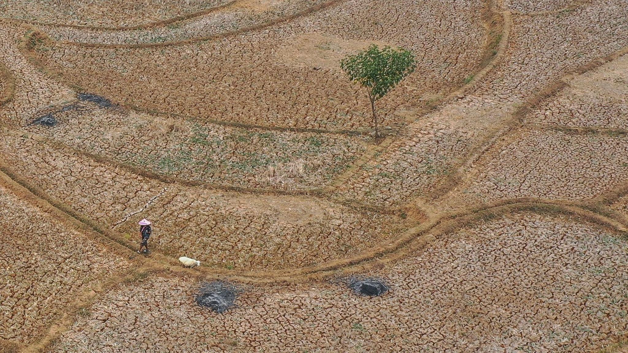 El Niño’s Global Weather Reckoning: Wildfires, Hurricanes and Dry Monsoons