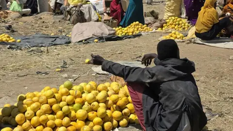Fertile Grounds of Jebel Marra: Food Rotting Amidst War in Sudan