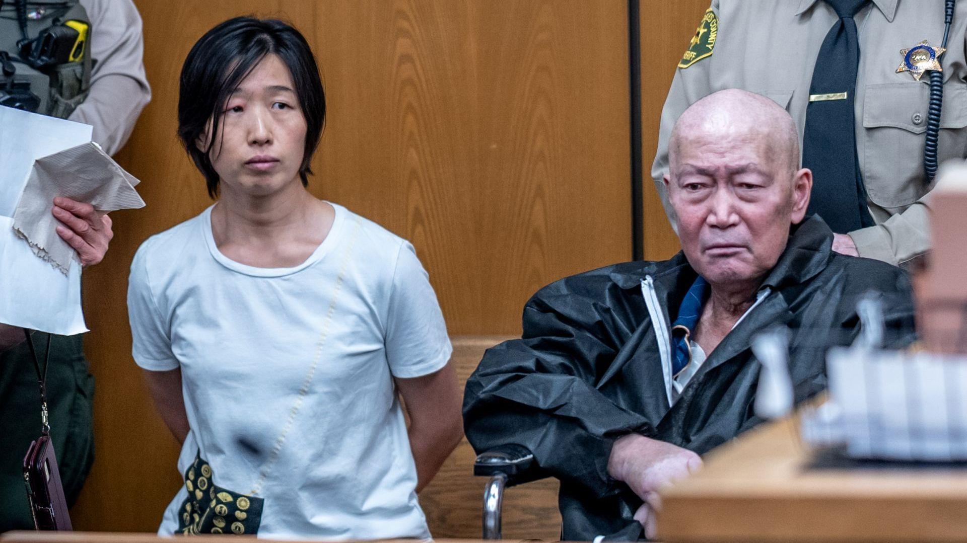 California Surrogacy Couple Charged with Abuse of 14 Children