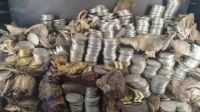 Thousands in Gold and Silver Coins Stolen in French Museum Heist