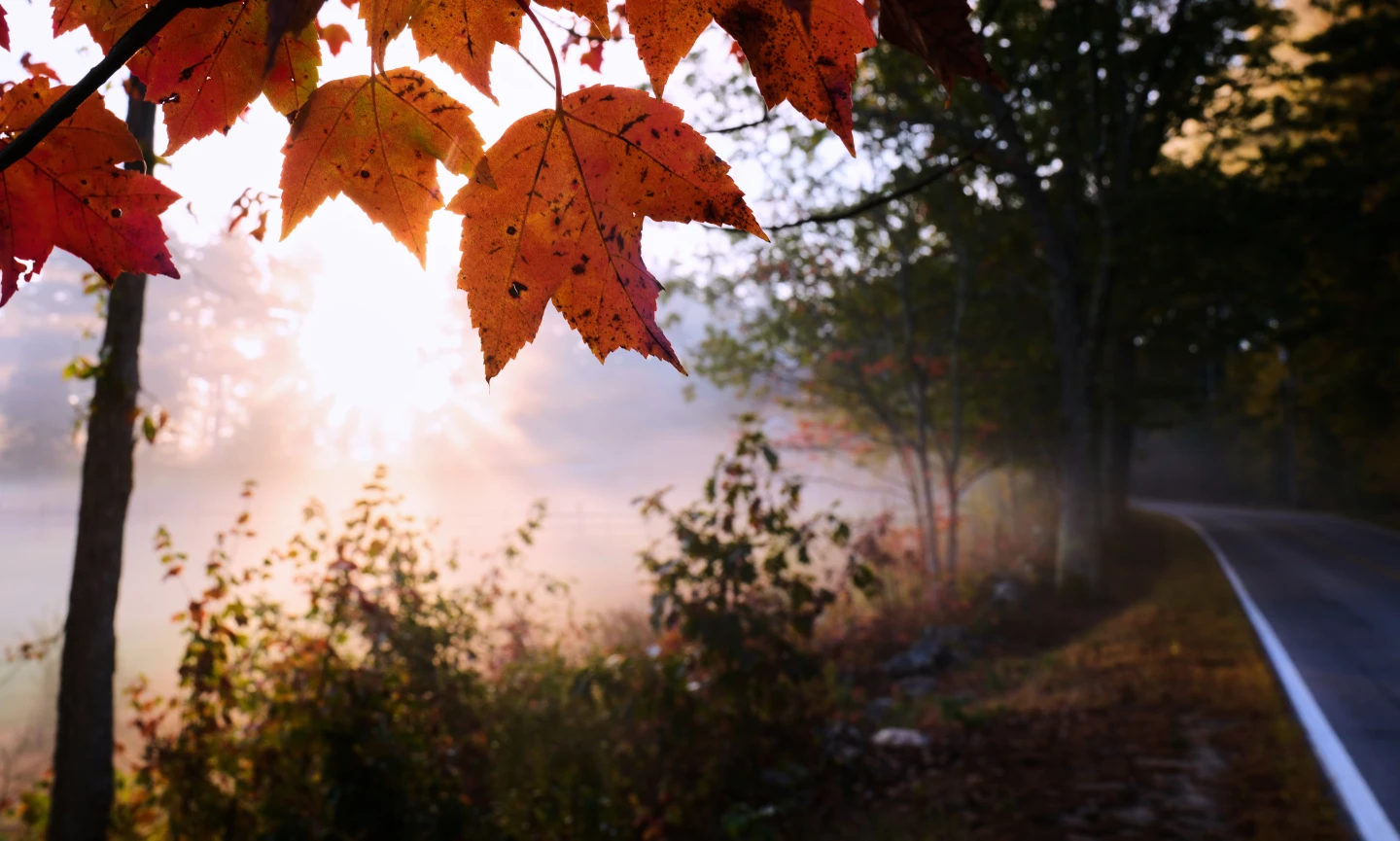 Northeast's Leaf-Peeping Season Diminished by Drought
