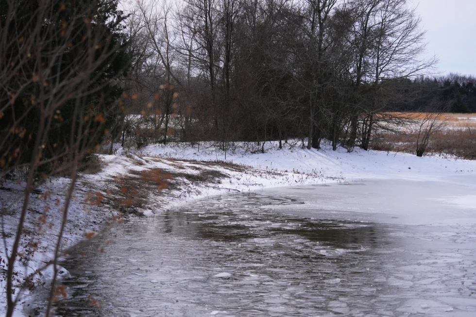 Tragic Loss: Three Young Brothers Die in Icy Pond Incident During Winter Storm